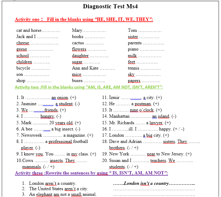 4MS Diagnostic Test English 2021